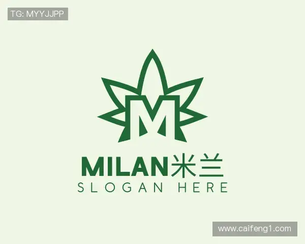 关于milan米兰